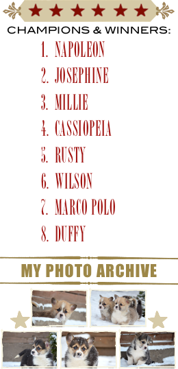 ￼
CHAMPIONS & WINNERS:
NAPOLEON
JOSEPHINE
MILLIE
CASSIOPEIA
RUSTY
wilson
marco polo
DUFFY
￼
my photo archive
￼
￼￼￼￼
￼￼￼